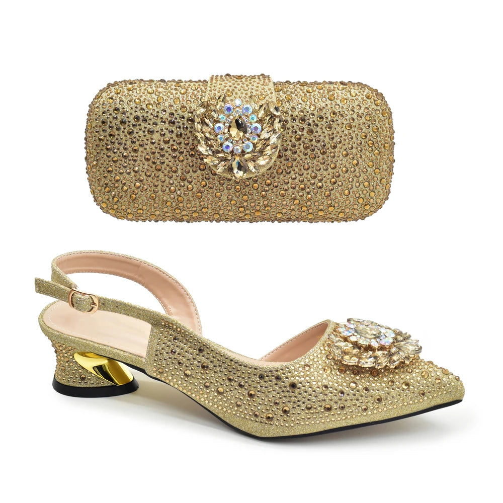 Juhi Bag & Shoe Set