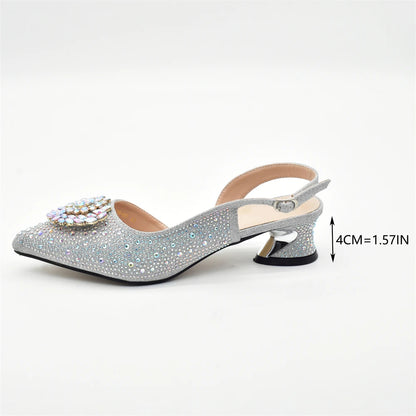 Juhi Bag & Shoe Set